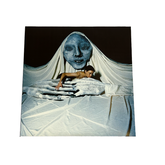 The Rot Vinyl